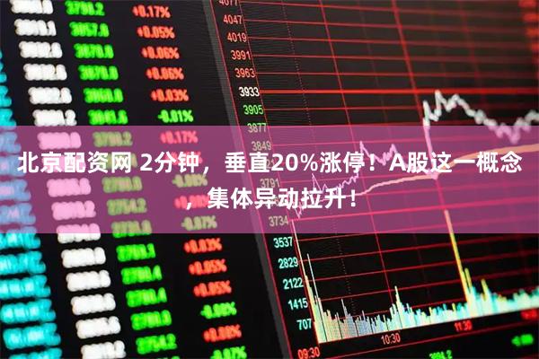 北京配资网 2分钟，垂直20%涨停！A股这一概念，集体异动拉升！