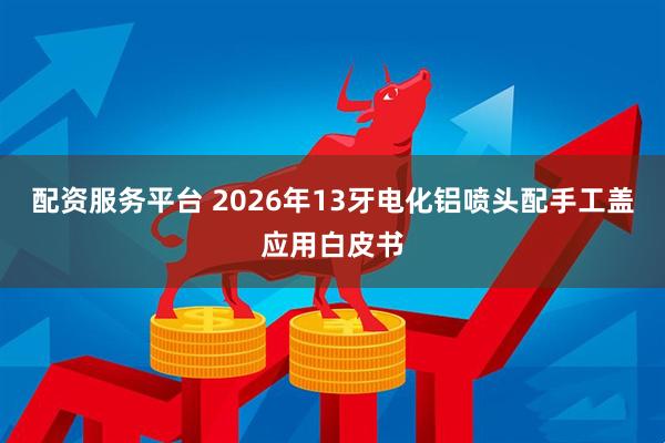 配资服务平台 2026年13牙电化铝喷头配手工盖应用白皮书