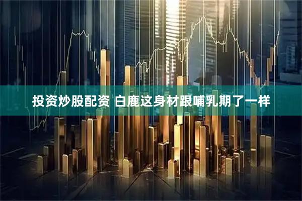 投资炒股配资 白鹿这身材跟哺乳期了一样