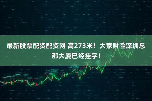 最新股票配资配资网 高273米!大家财险深圳总部大厦已经挂字!
